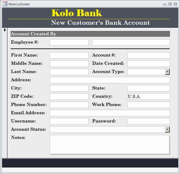 Kolo Bank: New Customer