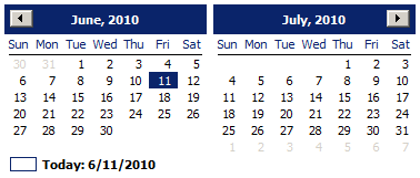 The Month Calendar control displaying two months