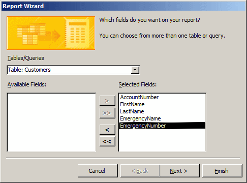 The Report Wizard