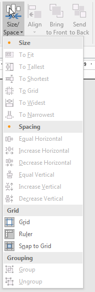 A Form in Design View Without the Rulers