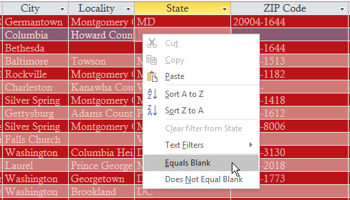 Filtering by Selection for Null Records