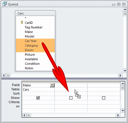 Query Design: Adding Various Fields