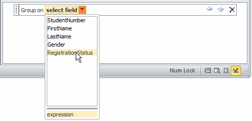 In the Group, Sort, and Total window, click the Add a Group button and select the primary group