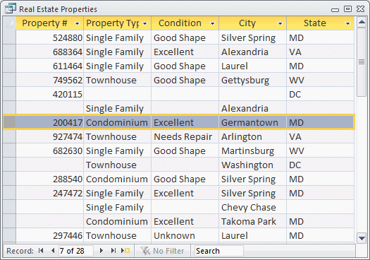Real Estate Properties