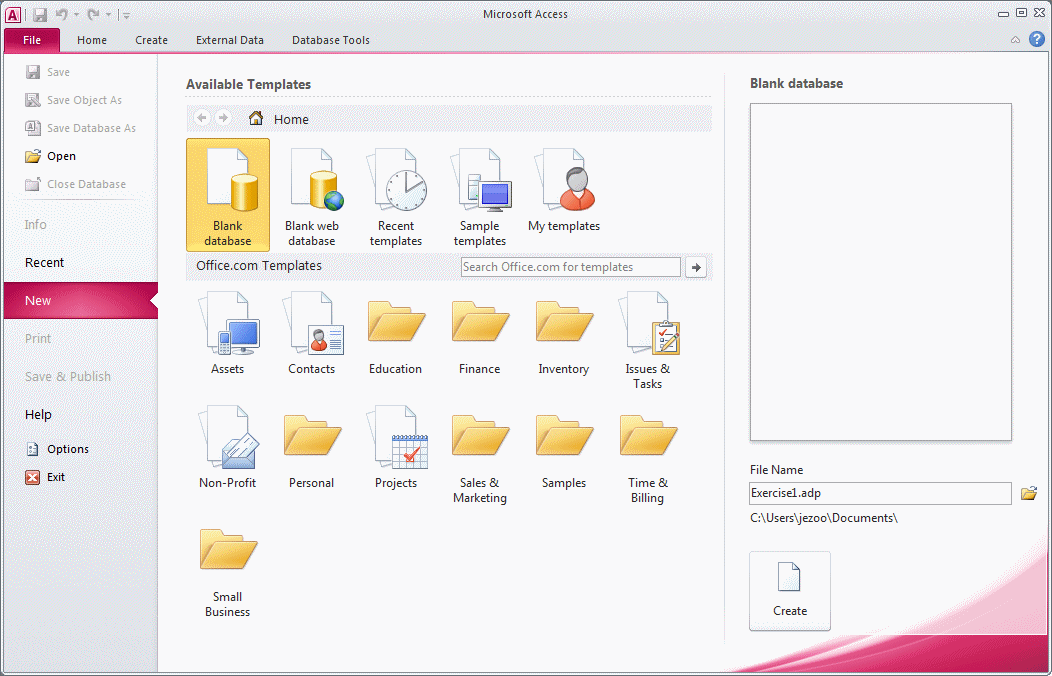 Microsoft Access Project