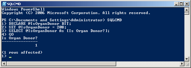 Declaring a Boolean Variable