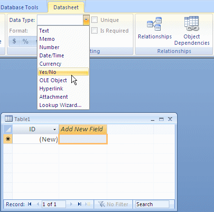 Creating a Boolean Field