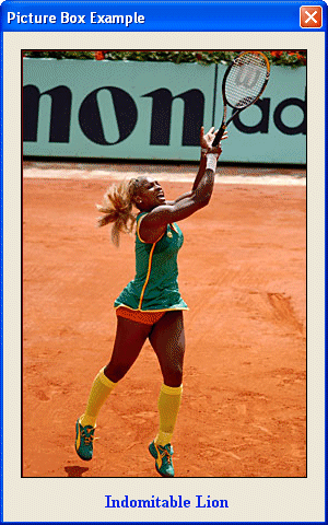 Serena Williams: Une Lionne Indomptable
