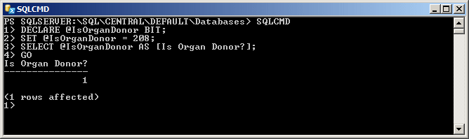 Declaring a Boolean Variable