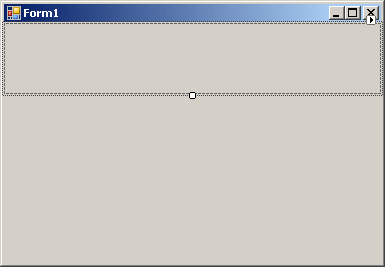 A Panel Added to a Form