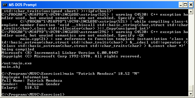 MS DOS Prompt