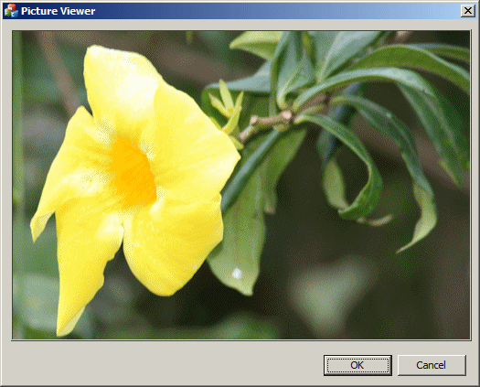 Picture Control
