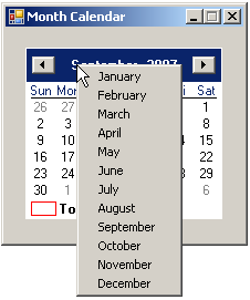 The Month Calendar control displaying the list of months