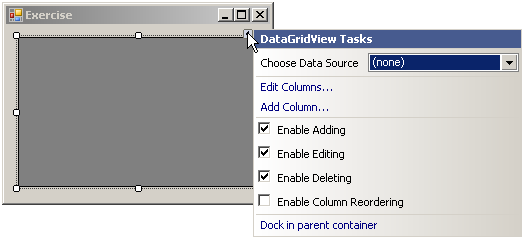 Data Grid View