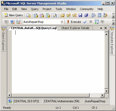 Query Window