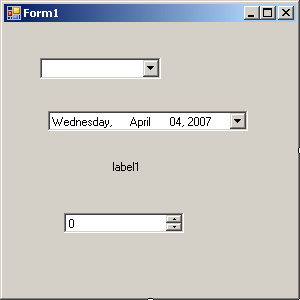 A form equipped with various controls