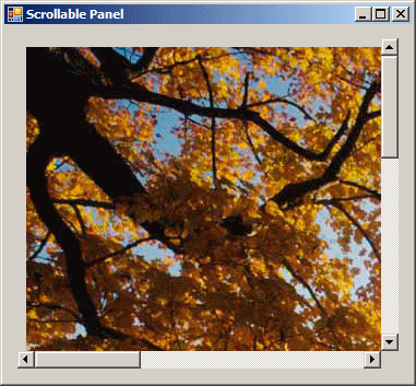 Panel